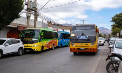 buses